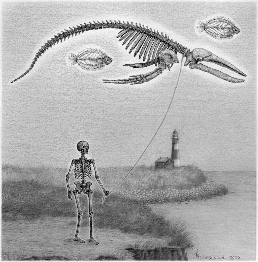Juliet Schreckinger skeleton walking his whale