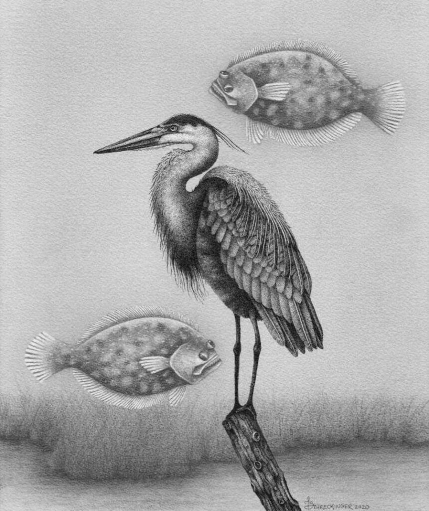 Heron and floating fish ink drawing