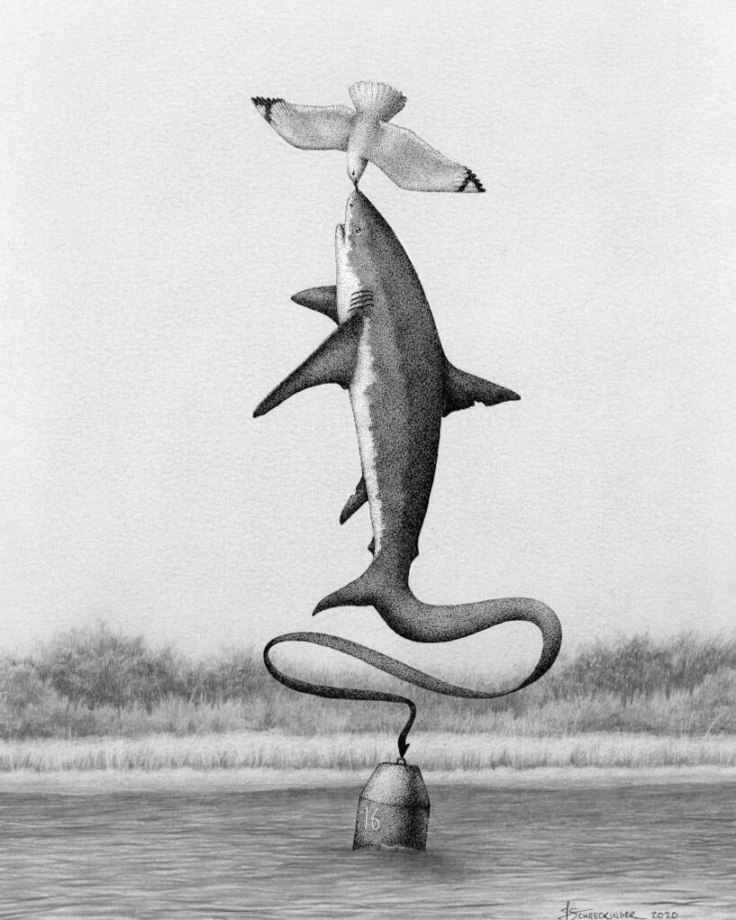 Juliet Schreckinger surreal balancing shark