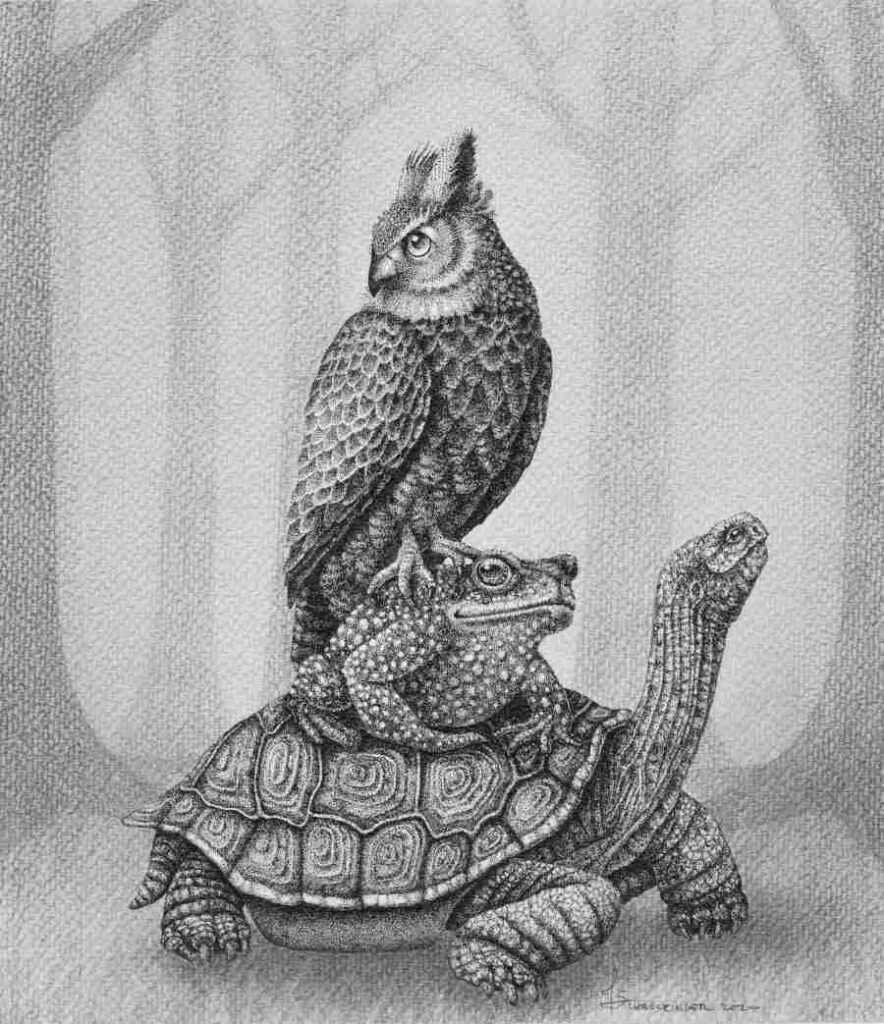 Juliet Schreckinger turle toad and owl illustration