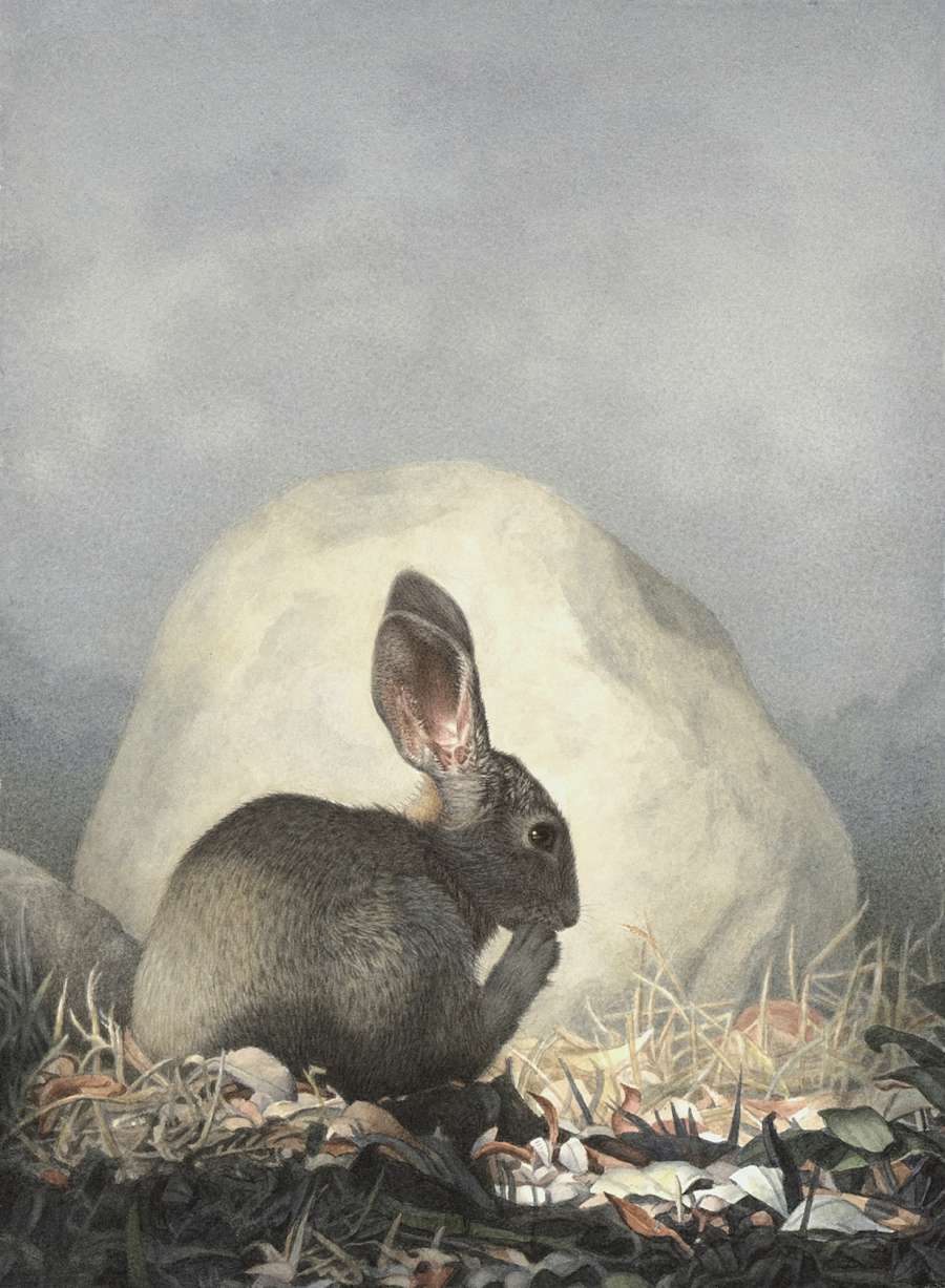 Susan McDonnell Marsh Hare Watercolor