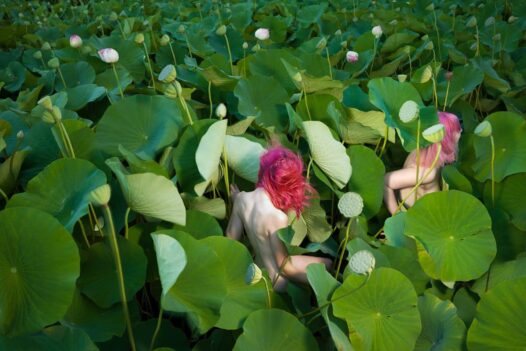 Tamara Dean Photography