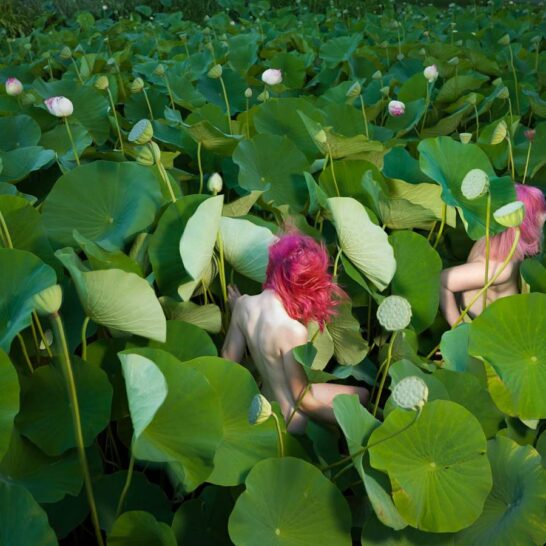 Tamara Dean Photography