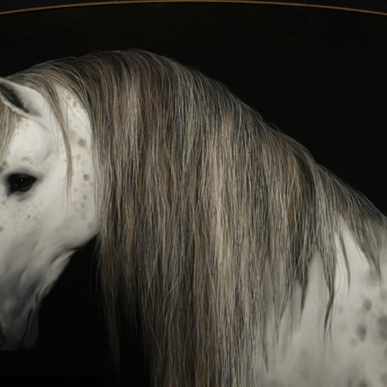 Che Leviathan horse portrait Copro Gallery