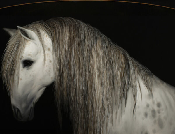 Che Leviathan horse portrait Copro Gallery