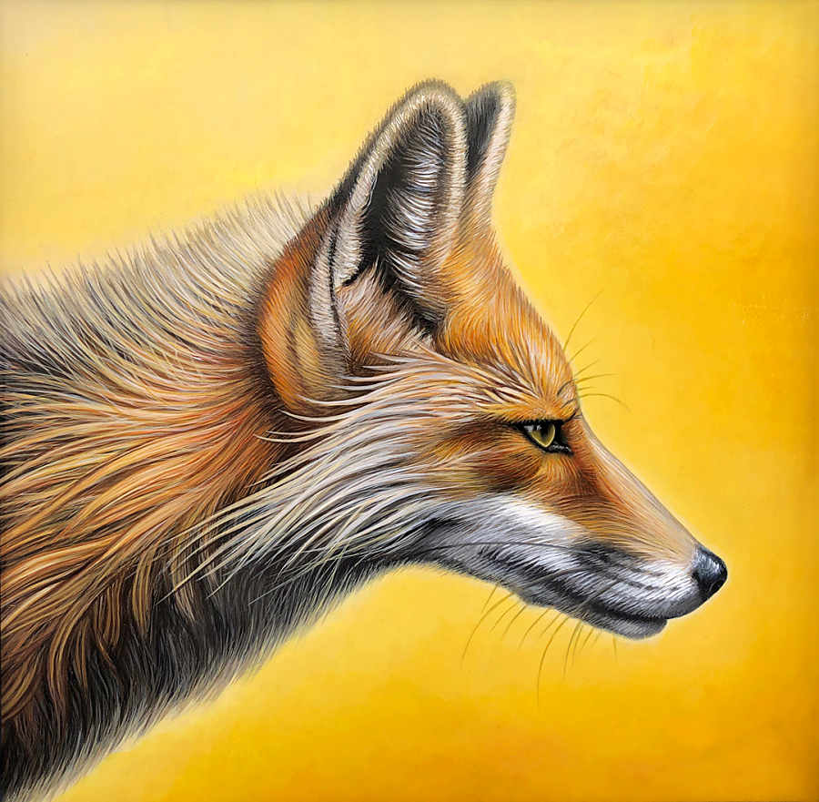Nathan Miller fox painting 