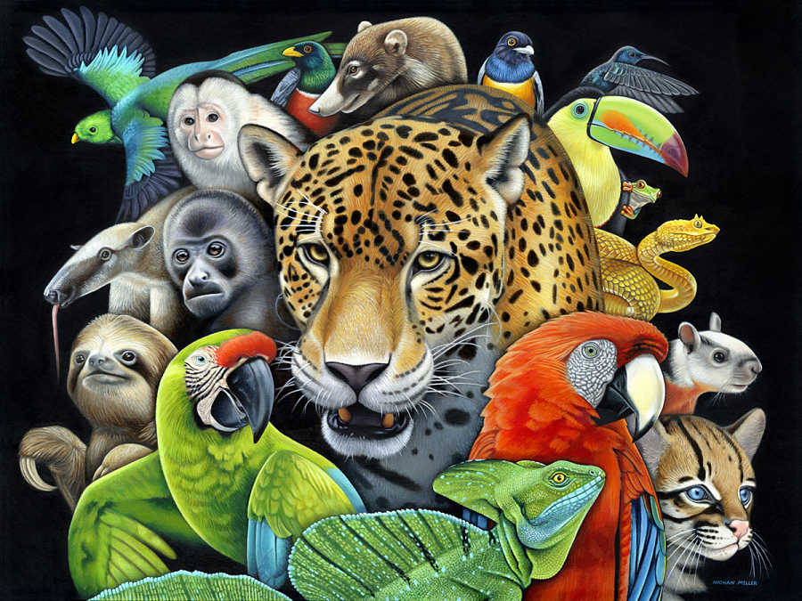 nathan miller fine art the circle of life painting