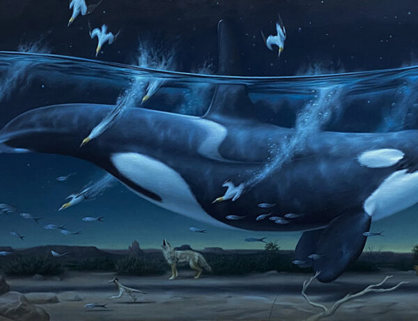 Phillip-Singer-surreal-killer-whale-painting-Beautiful-Bizarre-Art-Prize