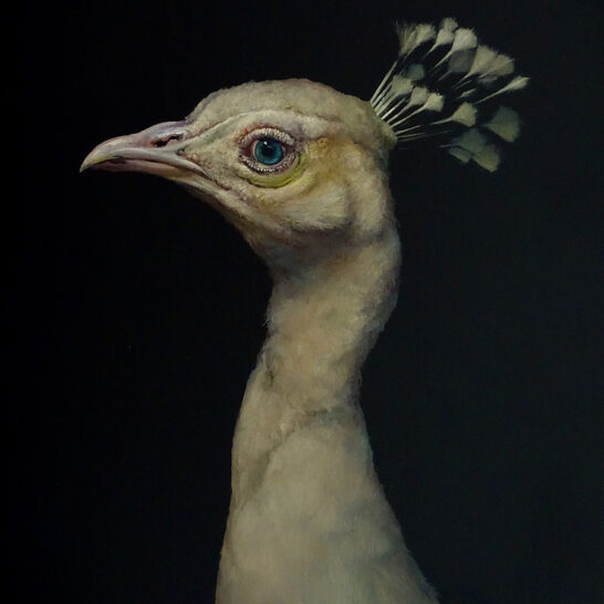 Brad-Woodfin-bird