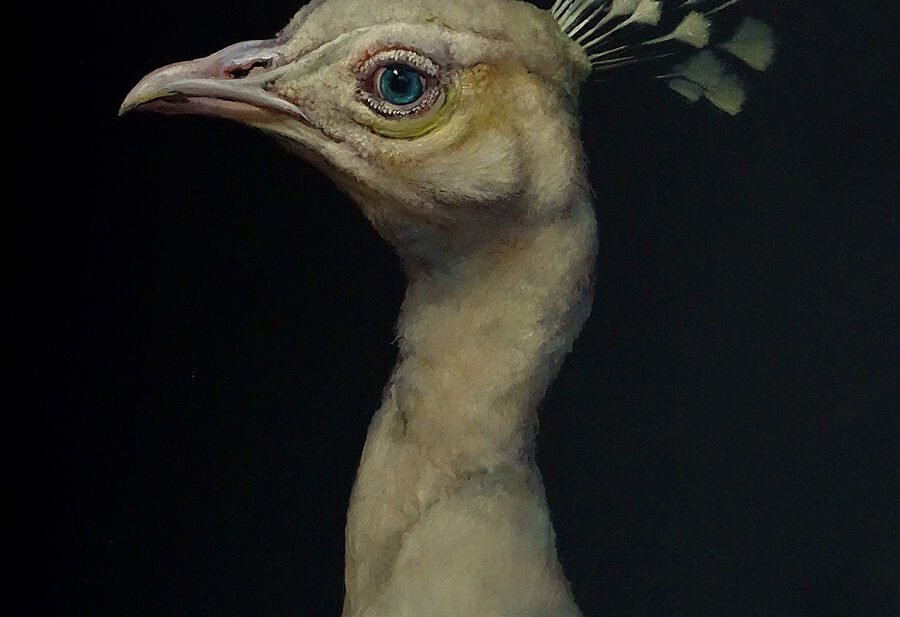 Brad-Woodfin-bird