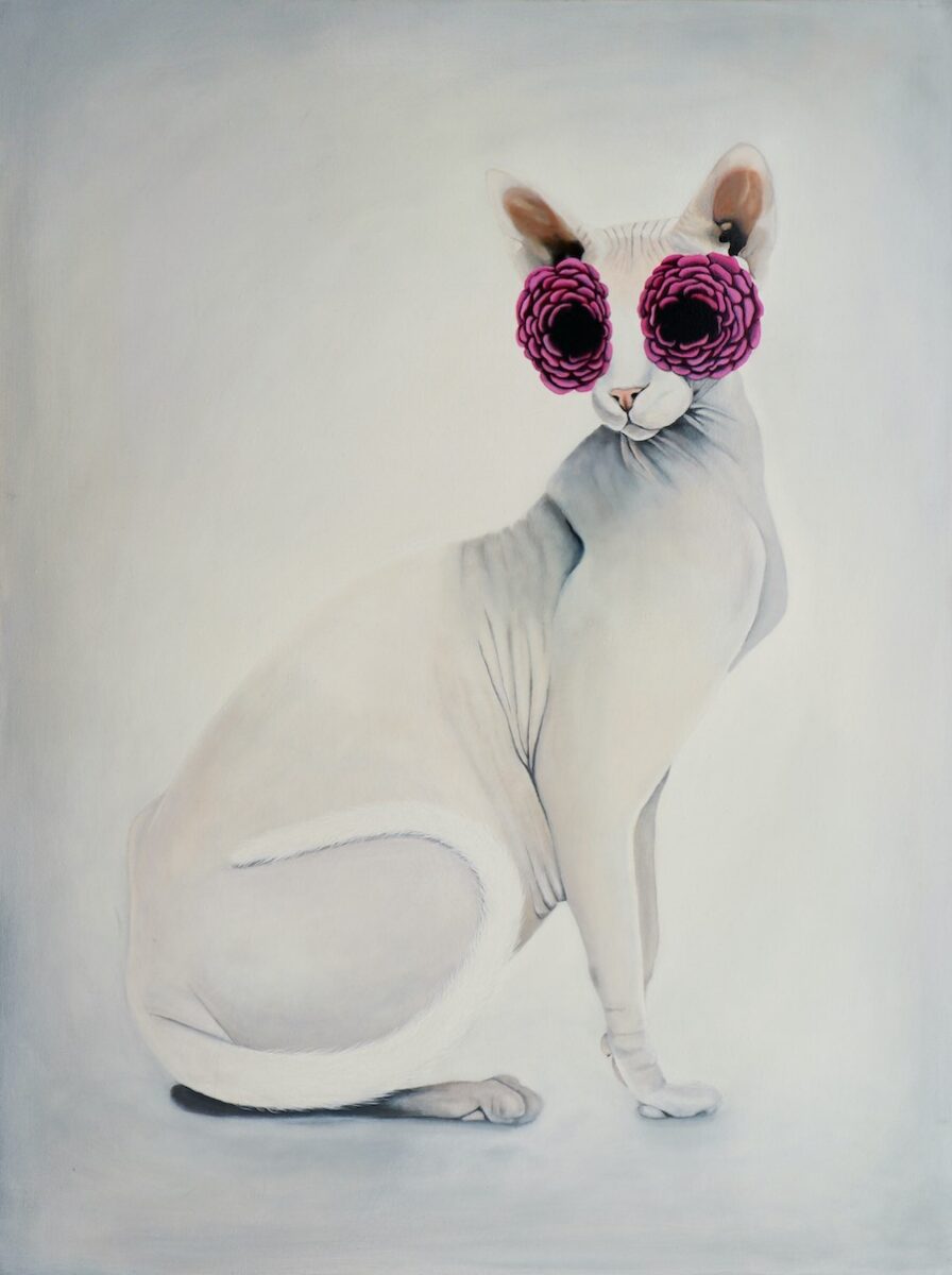 Caroline Gaudreault Animal Portrait