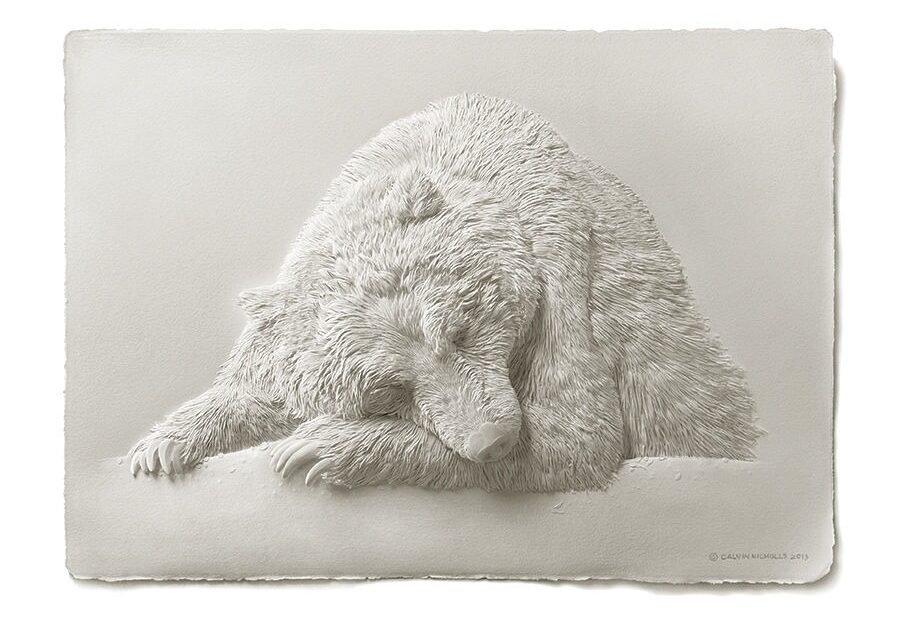 Calvin-Nicholls-bear