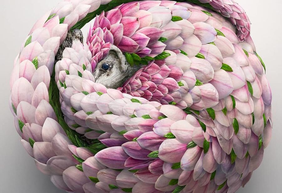 Josh-Dykgraaf-digital-animal-art