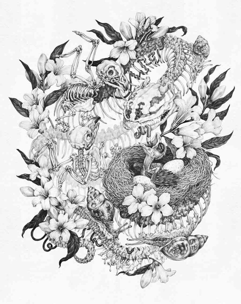 Zoe-Keller-Guts-wildlife drawing