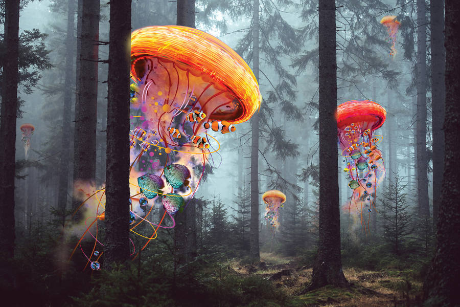 David Loblaw-Electric-Jellyfish-Forest