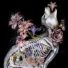 nunzio-paci-animals