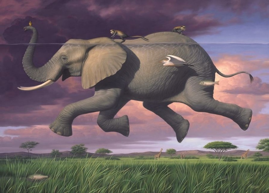 Phillip Singer elephant 