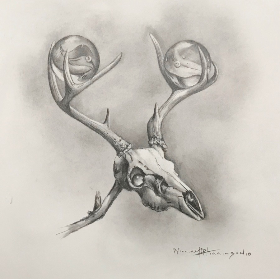 William-D-Higginson-Marble-Graphite-Drawing-Animal-Skull