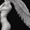 amahi-mori-winged-female-nude-drawing