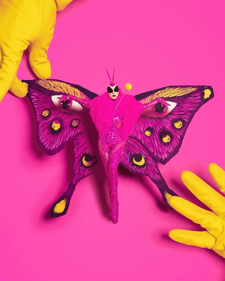 diego-montoya-pink-moth