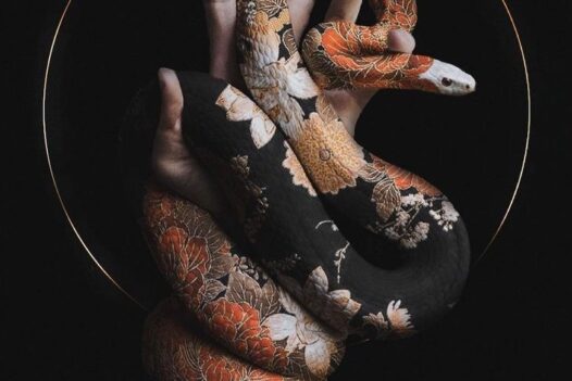 James Rupapara Snake Tattoo