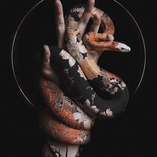 James Rupapara Snake Tattoo