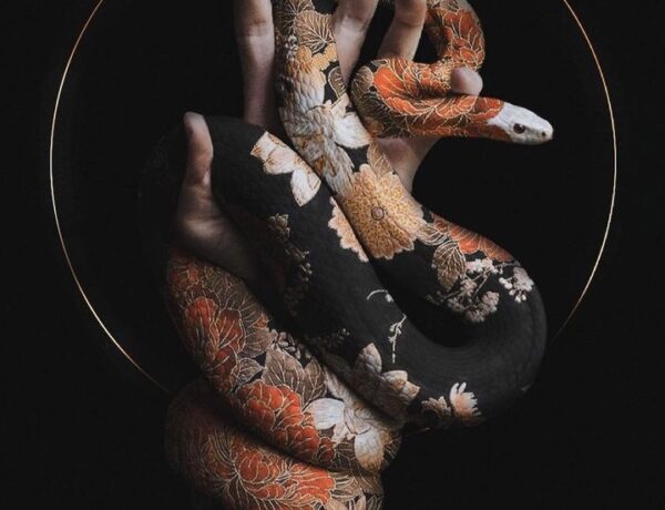 James Rupapara Snake Tattoo