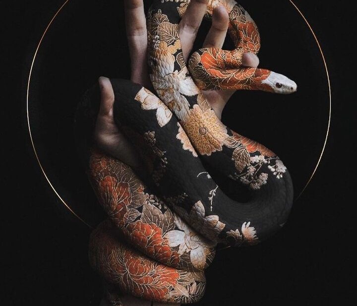 James Rupapara Snake Tattoo