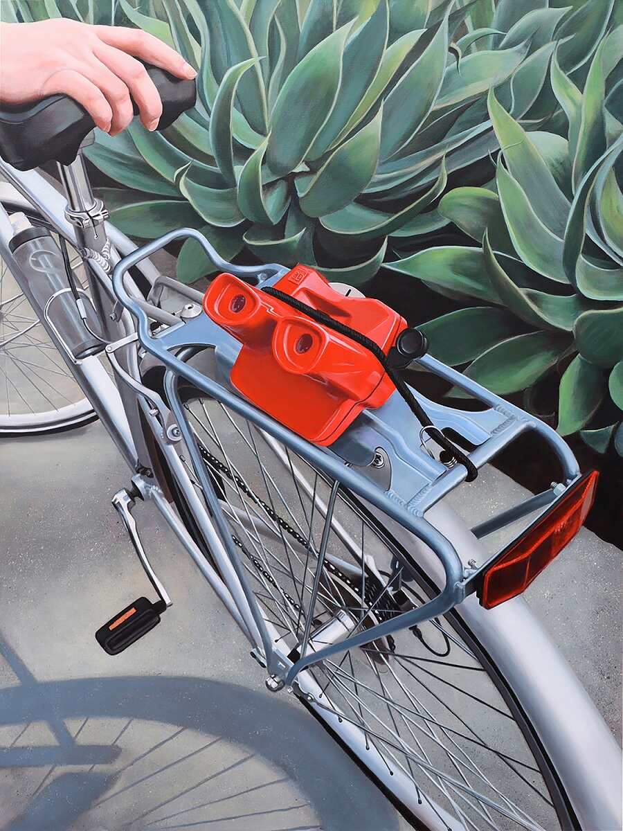 Sean-Banister-bike