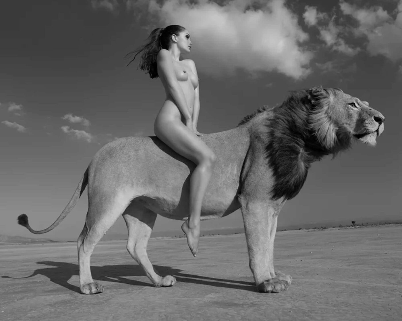 Sylvie-Blum-Angela-Rides-the-Lion