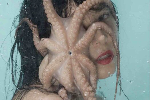 Sylvie-Blum-Octopuss-II