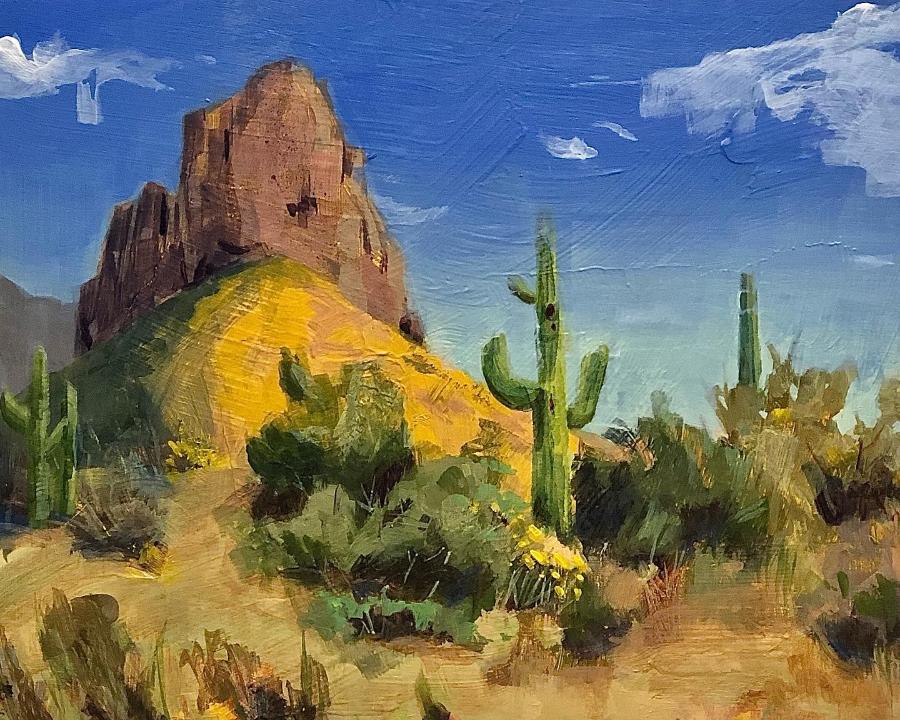 tony-thielen-landscape-desert-cactus