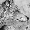 Alexander-Landerman-art-FOX