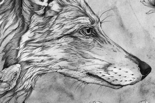 Alexander-Landerman-art-FOX