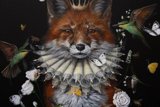 dewi-plass-fox