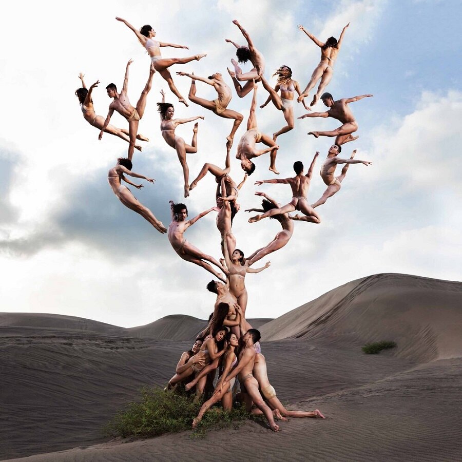 Rob Woodcox tree of life 