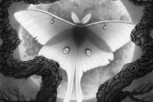 Juliet-Schreckinger-Luna-Moth-feature