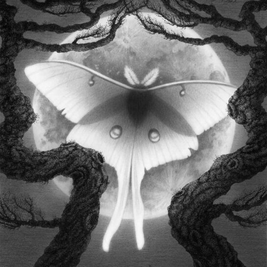 Juliet-Schreckinger-Luna-Moth-feature