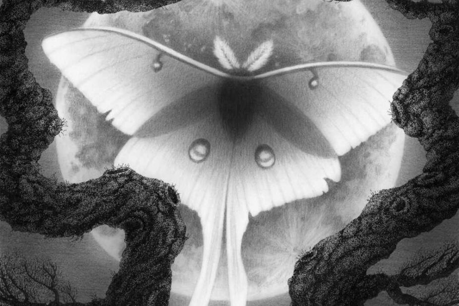 Juliet-Schreckinger-Luna-Moth-feature