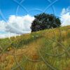 Micah-Ofstedahl-Diffractal-Surreal-Landscape