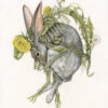christina-Mrozik-rabbit