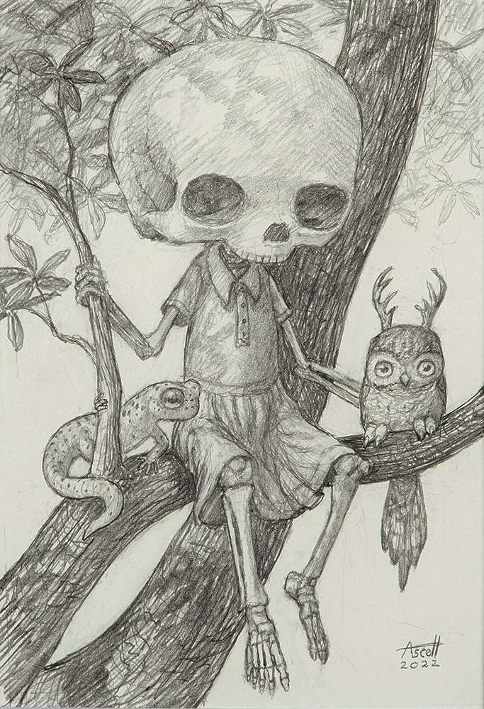 thomas-ascott-skeleton-owl-drawing