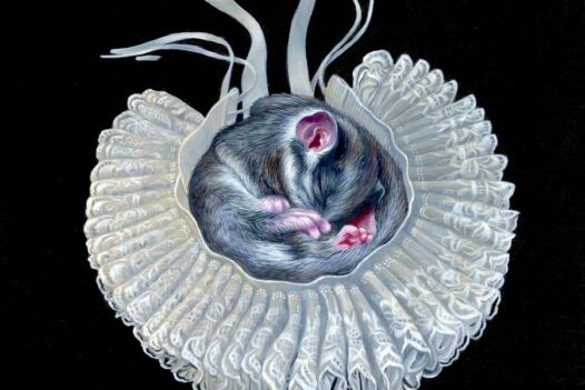 Rachel Favelle Deep Waters