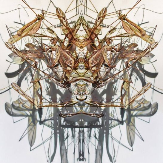Chil-Mott-New-Neurologist-Painting