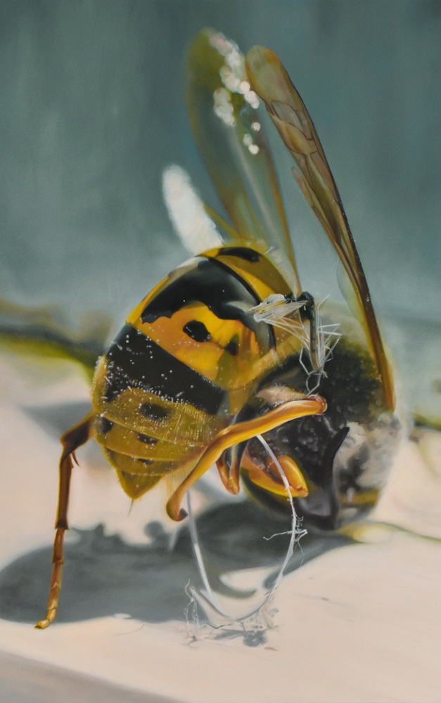 chil-mott-hyperrealistic-wasp-painting