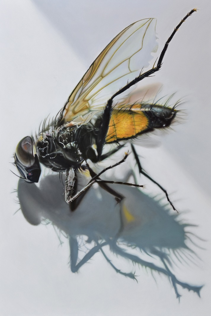 chil-mott-hyperrealistic-winged-insect-painting