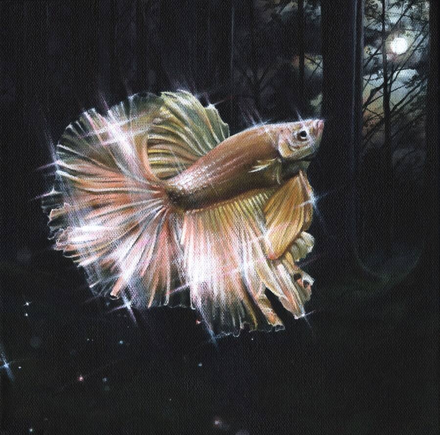 Hallie-Packard-fish