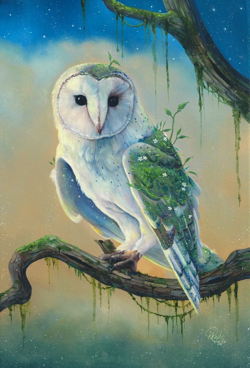 kseniia-Boko-owl