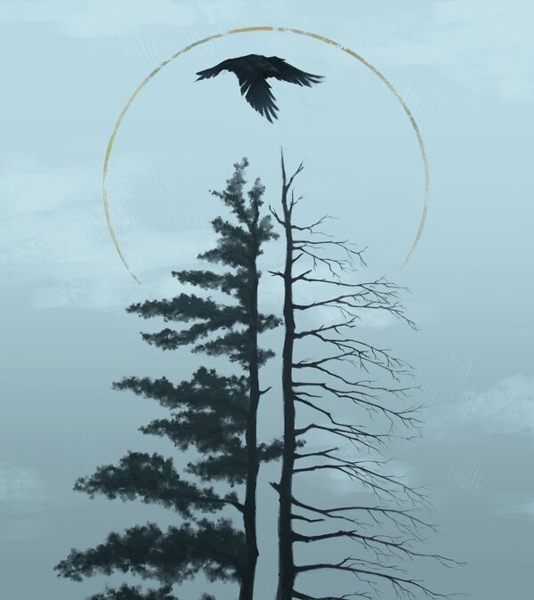 Bird flying over trees by Jennifer Bruce