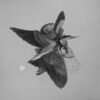 Juliet-Schreckinger-Moonlight-Flight